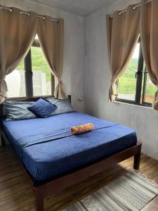 Un dormitorio con una cama con un edredón azul. en Ermitage Holiday Home, en Rodrigues Island