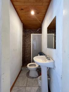 a bathroom with a sink and a toilet at Apart Los lirios in La Porteña