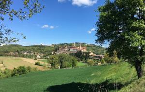 a green field with a village in the distance at Pet Friendly Apartment in Monte Santa Maria Tiberina