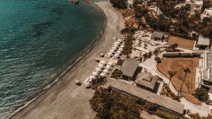 an aerial view of a beach and the ocean at Sagredo Boutique Hotel & Spa in Ágios Fokás