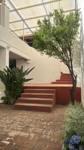 a set of stairs in a building with a tree at Habitación en casa panoramica in Morelia