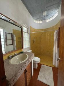 a bathroom with a sink and a toilet and a mirror at Habitación en casa panoramica in Morelia