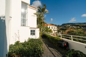a white house with a palm tree in front of it at Sunrise House by Wanderlust Madeira - 2 Bedroom Sea View in Gaula