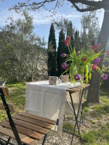 Zahrada ubytování Maison d'hôtes la Doma Venterol chambres & SPA