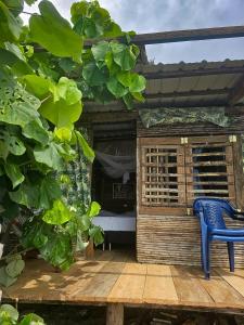 Gallery image of Chowa lodge in Nuquí