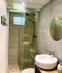 a bathroom with a glass shower and a sink at Maison Bois Jolan Sainte Anne in Sainte-Anne +9 photos