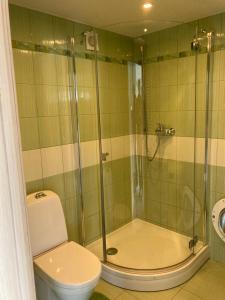 a bathroom with a toilet and a glass shower at Palanga poilsiui in Palanga +8 photos