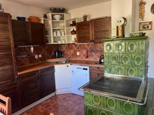 a kitchen with a green oven in a room at Chalupa Peťka in Rudník