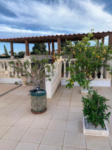 Balkón nebo terasa v ubytování Maison Alriad - Alojamiento familiar tranquilo cerca del mar con jardín, porche y parking privado en el interior de la finca no apto para fiestas