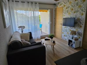 a living room with a couch and a tv at Appartement paisible à 300m de la plage in Le Grau-du-Roi