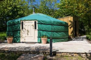 a green iguanauanauanauanauanauanauanauanauanauanauanauanauana at Yurt with Hot Tub near Hartington, Peak District in Buxton