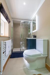 a bathroom with a toilet and a shower at Yurt with Hot Tub near Hartington, Peak District in Buxton