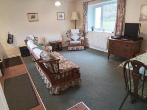 TV a/nebo společenská místnost v ubytování Holly Cottage Newcastle Emlyn