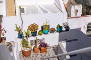 a bunch of potted plants sitting on a shelf at Patio Suite - by Enjoy your stay in Olhão