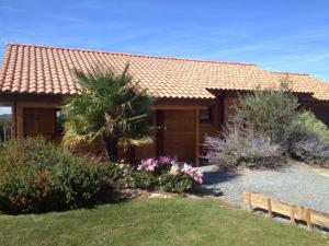 a house with a palm tree in the yard at Charmante maison en bois pour 5 personnes avec terrasse et jardin - FR-1-426-580 in Réaumur