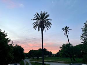 The sunrise or sunset as seen from a panziókat or nearby