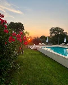 The swimming pool at or close to Dimora di Dante