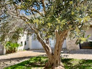 A garden outside Dimora di Dante