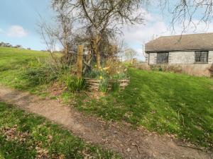 a yard with a fence and a tree and a house at Wringford Farm Annexe in Torpoint