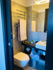 a bathroom with a toilet and a sink and a mirror at Appartement 74 cita Di sali in Porto-Vecchio