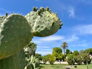 A garden outside Dimora di Dante