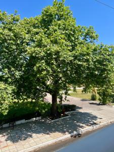 Fotografie z fotogalerie ubytování Aμvrosia Petalidi Square - Free WiFi, Smart TV, 2' λεπτά από την παραλία v destinaci Petalidhion