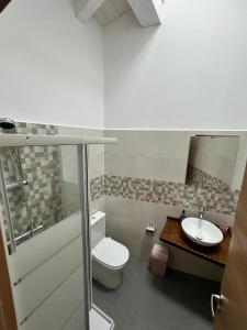 een badkamer met toilet en wastafel bij Apartamentos El Calleral in Villahormes +6 foto's