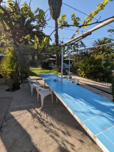 długi niebieski stół z białymi krzesłami i drzewami w obiekcie Le Mas de la Palmeraie - Appartement dans propriété privée au calme avec piscine et tennis w mieście Bormes-les-Mimosas