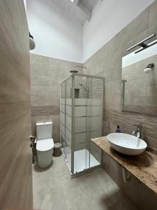 een badkamer met wastafel, douche en toilet bij Apartamentos El Calleral in Villahormes