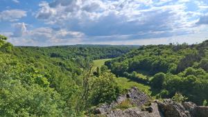 a view from the top of a hill with trees at Gite Le Petit Nid - 3 chambres in Couvin