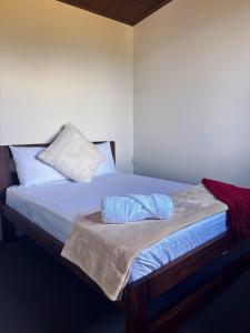 un letto con due cuscini sopra in una stanza di Cabaña Las Brumas del Jaular a Tapantí