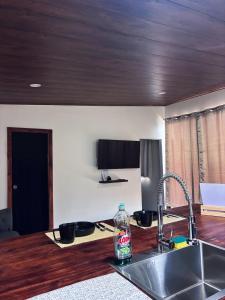 TV o dispositivi per l'intrattenimento presso Cabaña Las Brumas del Jaular