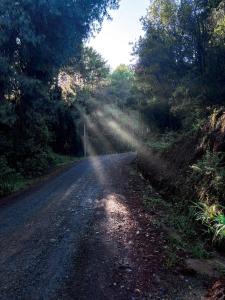 Paesaggio naturale nelle vicinanze dell'appartamento