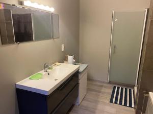 Koupelna v ubytování Pour professionnel en déplacement