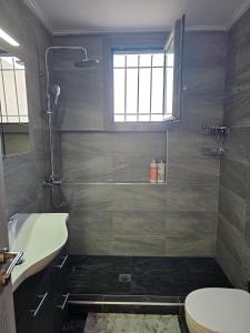 a bathroom with a shower and a toilet and a sink at Olive Ridge in Porto Rafti +21 photos