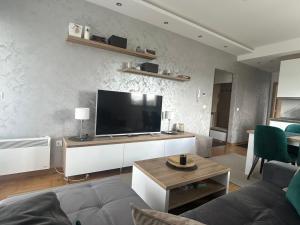 TV a/nebo společenská místnost v ubytování Apartman Barisic
