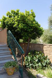 Zahrada ubytování Villa Laconi