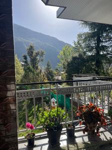a balcony with potted plants and a view of a mountain at Secret garden homestay in McLeod Ganj