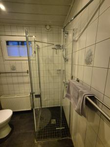 a bathroom with a shower and a toilet at Ferienwohnung Fackiner in Gemünden an der Wohra +21 photos