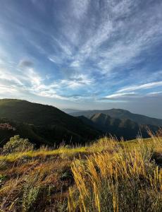 a view of a grassy hill with a blue sky at Wild Jacket in Vagamon