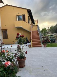 Zahrada ubytování B&B Telko