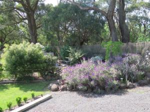 
A garden outside Honeyeater Cottage
