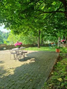 Agriturismo Case in Collina外面的花园