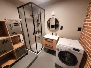 Koupelna v ubytování Apartmán Sova