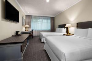 Wyndham Monterrey Ambassador Centro客房内的一张或多张床位