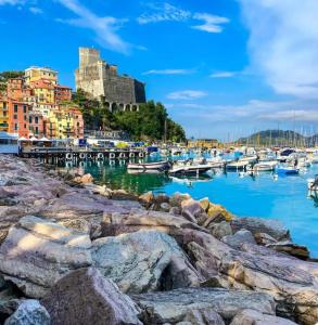 a group of boats docked in a harbor with a castle at La camera a due passi dal mare in San Terenzo