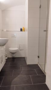 un baño con inodoro y lavabo en Ruhige tierfreundliche Einliegerwohnung, en Feld-Schönau