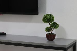 TV a/nebo společenská místnost v ubytování Neranxi Apartament