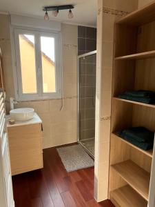 a bathroom with a shower and a sink and a window at Maison proche Circuit des 24h du Mans in Saint-Gervais en-Belin