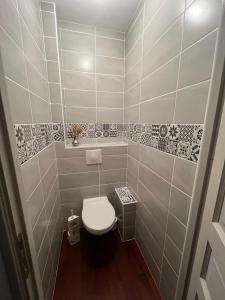 a bathroom with a white toilet in a room at Maison proche Circuit des 24h du Mans in Saint-Gervais en-Belin